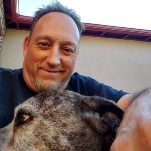 Meet your Posher, Archie